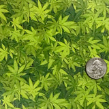 MARIJUANA