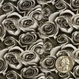 BLACK & CLEAR ROSES