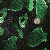 GREEN BOA SNAKE SKIN