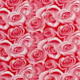 PINK ROSES ON WHITE