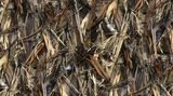 TRUE TIMBER DRT FULL SCALE HYDROGRAPHIC FILM