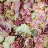 ROSE BOUTIQUE