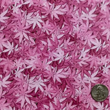 MARIJUANA #3
