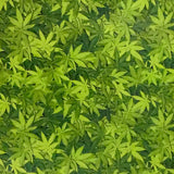 MARIJUANA