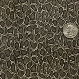 GRAY SNAKE SKIN