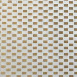 GOLD/CLEAR CARBON FIBER 10