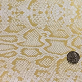 YELLOW PYTHON SNAKE SKIN