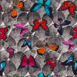 BUTTERFLY MEADOW