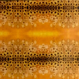 DESERT SNAKE SKIN