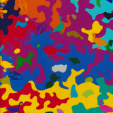 COLORED MULTI DUCK CAMO