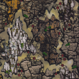 DIGITAL TREE BARK