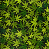 MARIJUANA #2