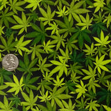 MARIJUANA #2