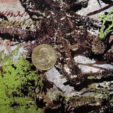 GROUND MOSS CAMO