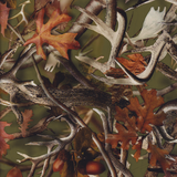 HORNS & ACORN CAMO