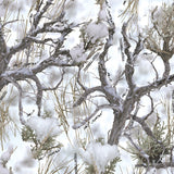 TRUE TIMBER® MC2 SNOW HYDROGRAPHIC FILM