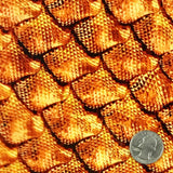 COPPER DRAGON SCALES