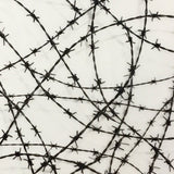 MINI BARBWIRE FENCE
