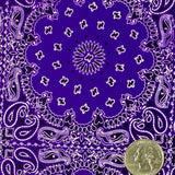 PURPLE BANDANNA