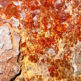 RUST #5
