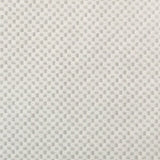 SILVER/CLEAR CARBON FIBER 33