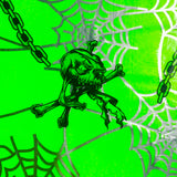 WEB SKULLS