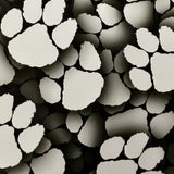 TIGER PAWS - EXCLUSIVE