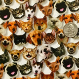 MINI FURRY FRIENDS