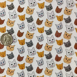 CAT FACES