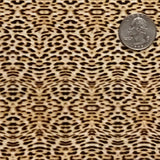 MINI CHEETAH SPOTS