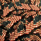 HYDROGRAPHIC FILM WE THE PEOPLE FLAG