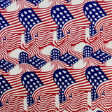 AMERICAN FLAGS