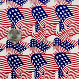 AMERICAN FLAGS