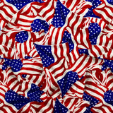 STARS AND STRIPES