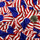STARS AND STRIPES