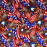 FLAGS AND EAGLES