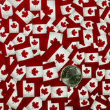 OH CANADA FLAG