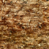 AGED DISTRESSED WOOD