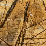 MARBLE #13