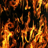 TRUE FLAMES