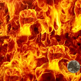 FISTS OF FIRE