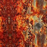RUST #2