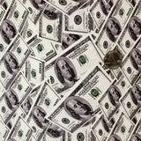 $100 BILLS