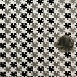 BLACK/CLEAR PUZZLE PIECES