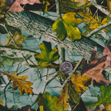 MOONLIT NEW FALL LEAVES