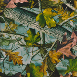 MOONLIT NEW FALL LEAVES