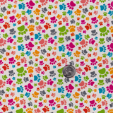 PAW PRINTS