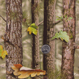 PINE TREE CAMO