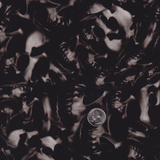SKULL SHADOWS