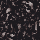 SKULL SHADOWS